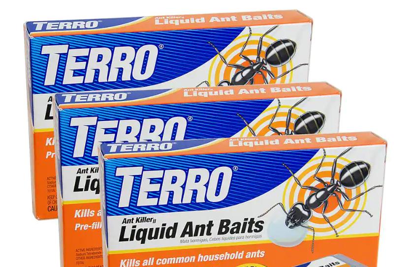 My Dog Ate Terro Liquid Ant Killer [Do This ASAP]