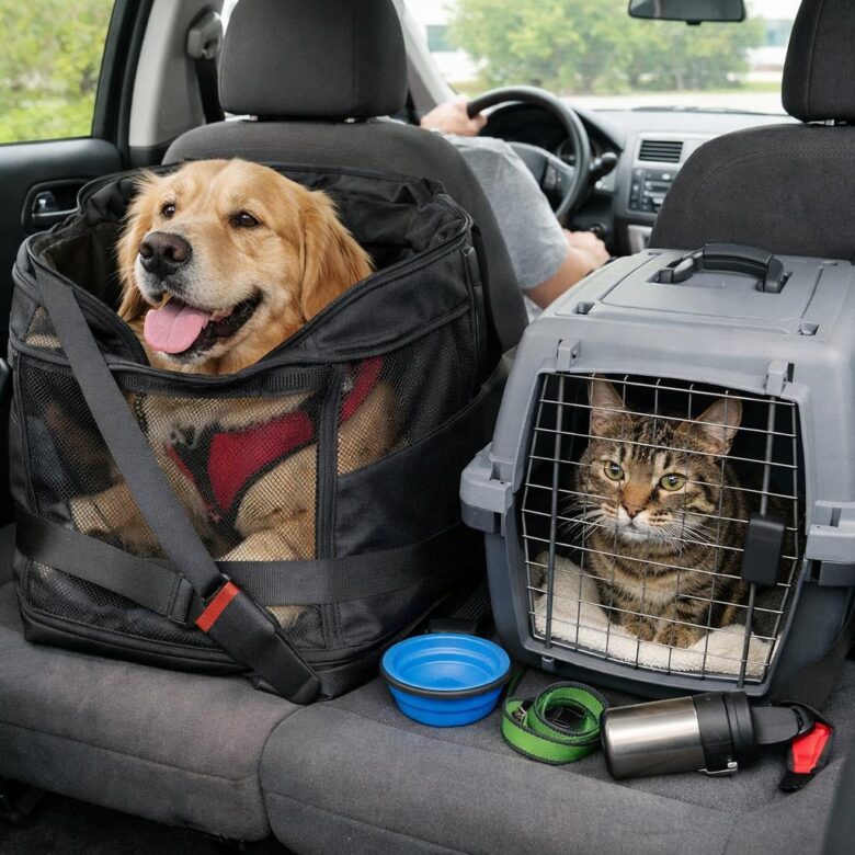 How to Travel Safely With Pets by Car
