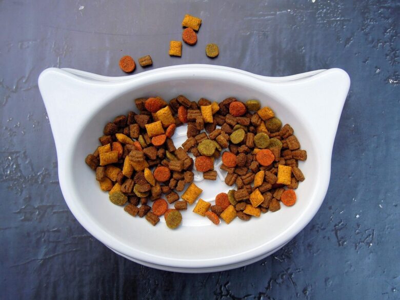 cat, animal, food, pet food, pet, dry food, bowl, white, color