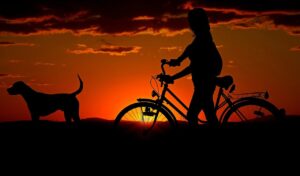 woman, bike, sunset, animal, walk, silhouettes, nature, girl, dog, pet, owner, travel, dusk, twilight, backlighting, orange sky, afterglow