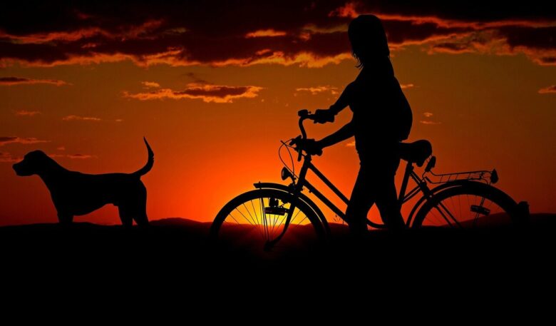 woman, bike, sunset, animal, walk, silhouettes, nature, girl, dog, pet, owner, travel, dusk, twilight, backlighting, orange sky, afterglow