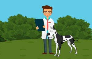vet, doctor, dog, outdoor, canine, veterinarian, medical care, checking heart, stethoscope, cute, report, care, checkup, smiling, pet, green heart, green medical, animal, green smile, green doctors, green care, green check